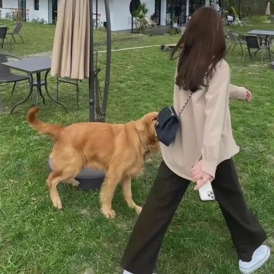 权欲第一季